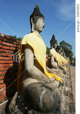 Buddha Buddha 5604001