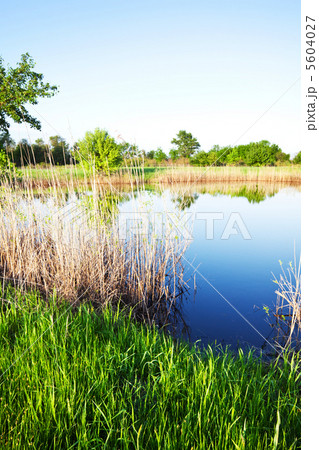 Summer lake 5604027