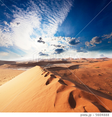 Desert 5604888