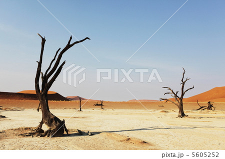 Namib Namib 5605252