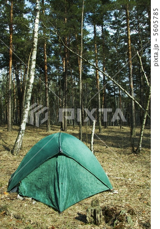 Tent in forest Tent in forest 5605785