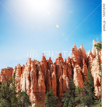 Bryce canyon Bryce canyon 5605840