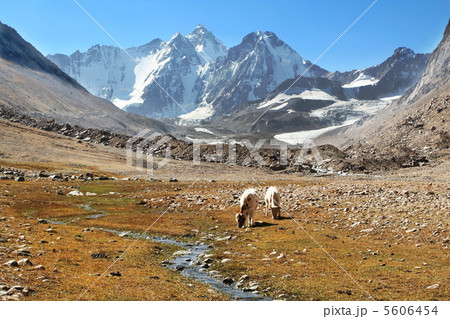 Mountain landscapes 5606454