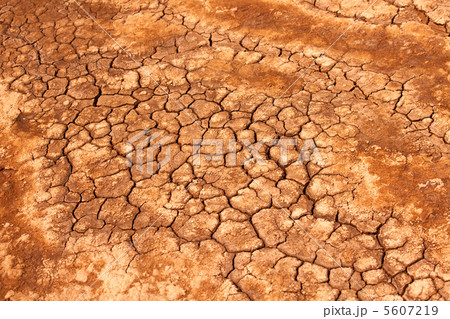 Drought land 5607219