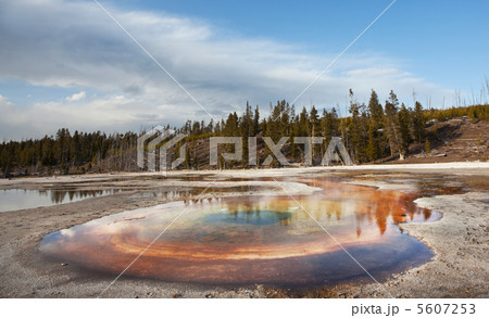 Yellowstone Yellowstone 5607253