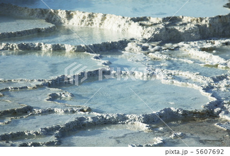 Mammoth hot springs 5607692