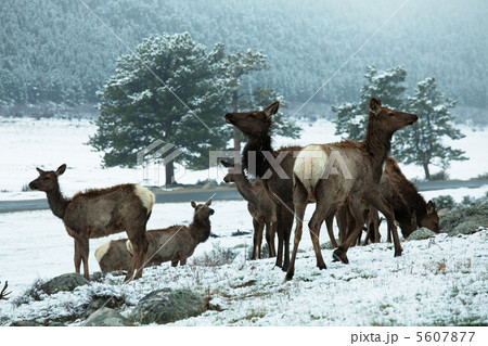 Rocky mountains 5607877