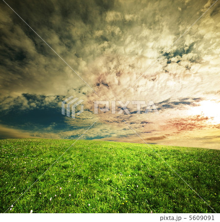 Meadow Meadow 5609091