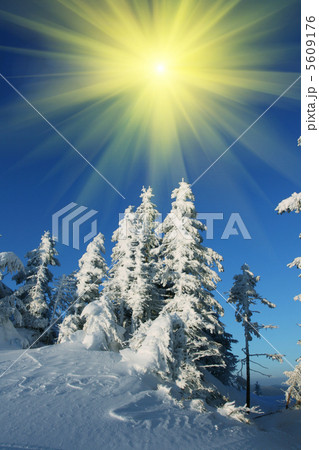 Winter 5609176