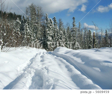 Winter road 5609459