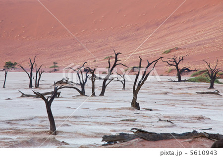 Dead valley Dead valley 5610943