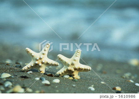 Sea spark Sea spark 5610986