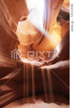 Antelope Antelope 5611496