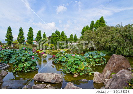 草津市立水生植物公園「みずの森」 草津市立水生植物公園「みずの森」 5612838