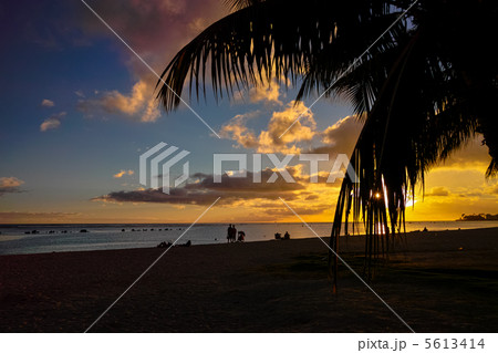 アラモアナの夕陽 5613414