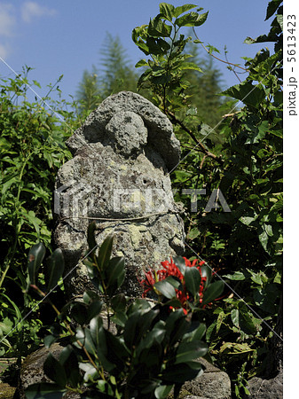 田の神と彼岸花 田の神と彼岸花 5613423