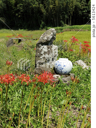 田の神と彼岸花 5613424