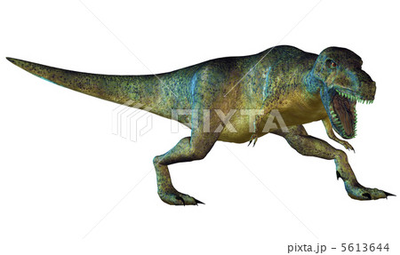 T-REX☆ティラノサウルス T-REX☆ティラノサウルス 5613644