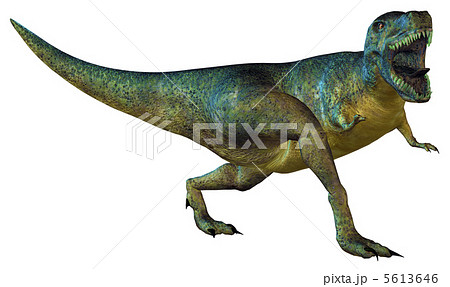 T-REX☆ティラノサウルス T-REX☆ティラノサウルス 5613646