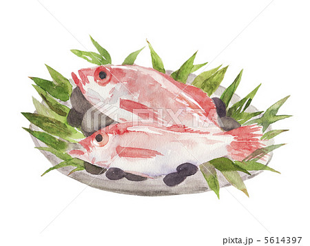 のどぐろ 5614397