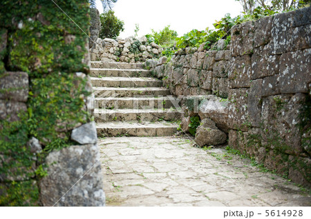 中城城跡 5614928