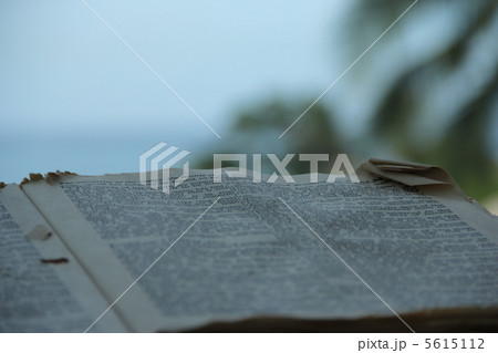 聖書 5615112