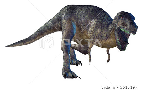 T-REX☆ティラノサウルス 5615197