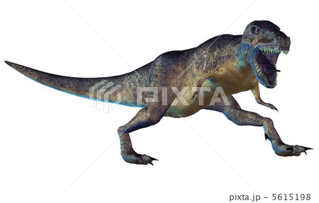 T-REX☆ティラノサウルス 5615198