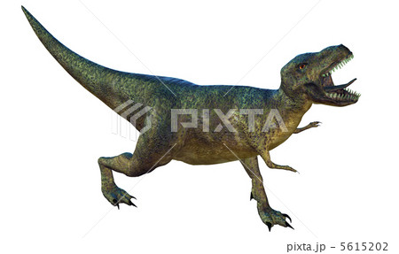 T-REX☆ティラノサウルス 5615202