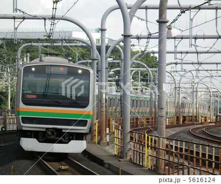 宇都宮線 E231系 赤羽駅 宇都宮線 E231系 赤羽駅 5616124