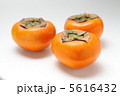 柿 5616432