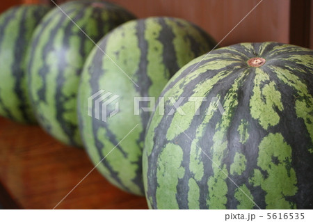 スイカ 5616535
