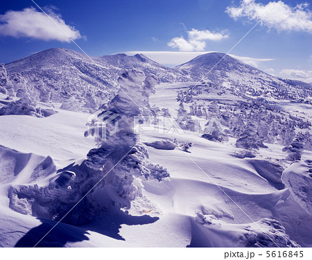 厳冬の八甲田山 5616845