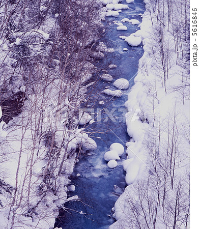 厳冬の美瑛川 厳冬の美瑛川 5616846