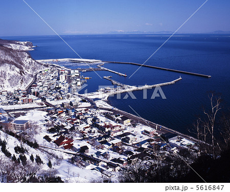 厳冬の羅臼港 厳冬の羅臼港 5616847