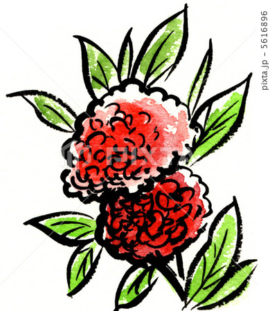 keitou12926pix 5616896