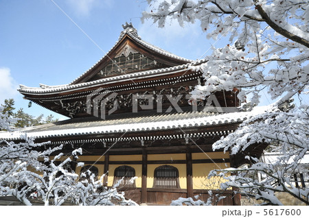 京都 南禅寺 雪の法堂 京都 南禅寺 雪の法堂 5617600