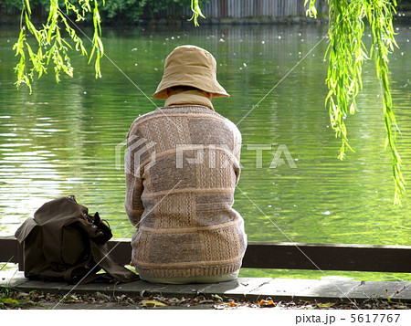 昼下がりの公園に座る老女の後ろ姿の写真素材