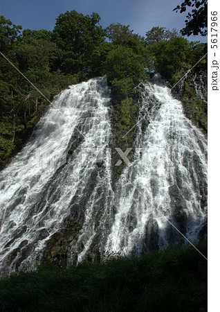 オシンコシンの滝 5617966