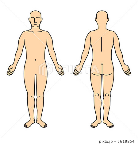 人体全身図のイラスト素材 5619854 Pixta