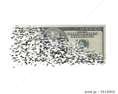 100ドル 100ドル 5619903