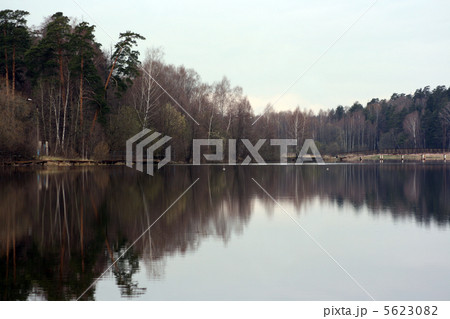 Reflection of a wood 5623082