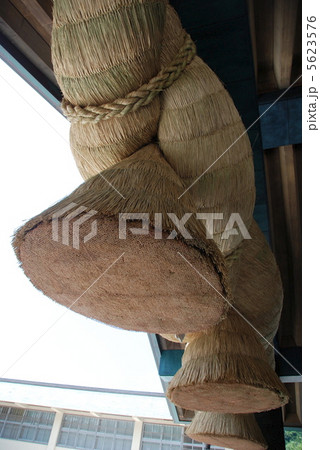 出雲大社･神楽殿の日本一の「大注連縄」（島根県出雲市大社町） 5623576