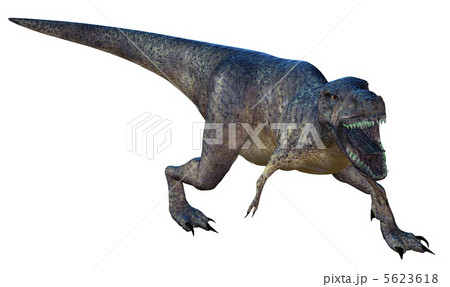 T-REX☆ティラノサウルス 5623618