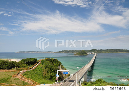 角島大橋 5625668