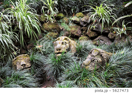 Monte Palace Tropical Garden– Monte, Madeira 5627473