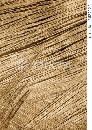 Detail of wooden cut texture - rings and saw cuts - oak - background 5627526