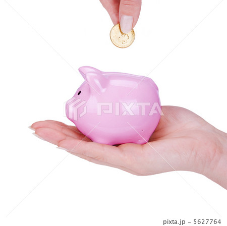piggy bank piggy bank 5627764