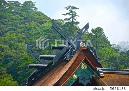 出雲大社・御本殿の新しい屋根(ちゃん塗り)(島根県出雲市大社町) 出雲大社・御本殿の新しい屋根(ちゃん塗り)(島根県出雲市大社町) 5628188