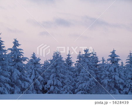 雪の日の夕暮れ 5628439